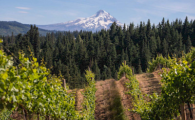 Mount Hood in Oregon, USA. ©TO
