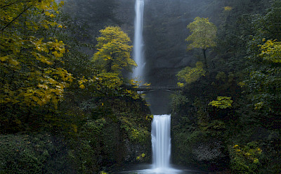 Multnomah Falls in Oregon. Flickr:Bonnie Moreland