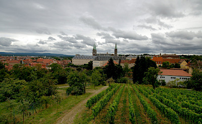 Vineyards in Würzburg, Bavaria, Germany. Flickr:Jin Palsong