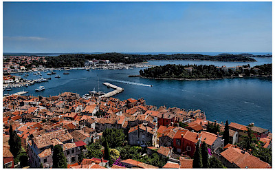 Harbor in Rovinj, Istria, Croatia. Flickr:Mario Fajt