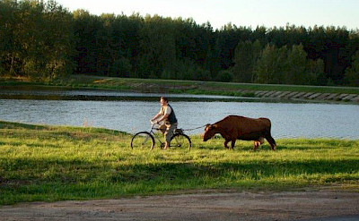 Biking the Borderland of Lithuania, Poland, & Belarus.