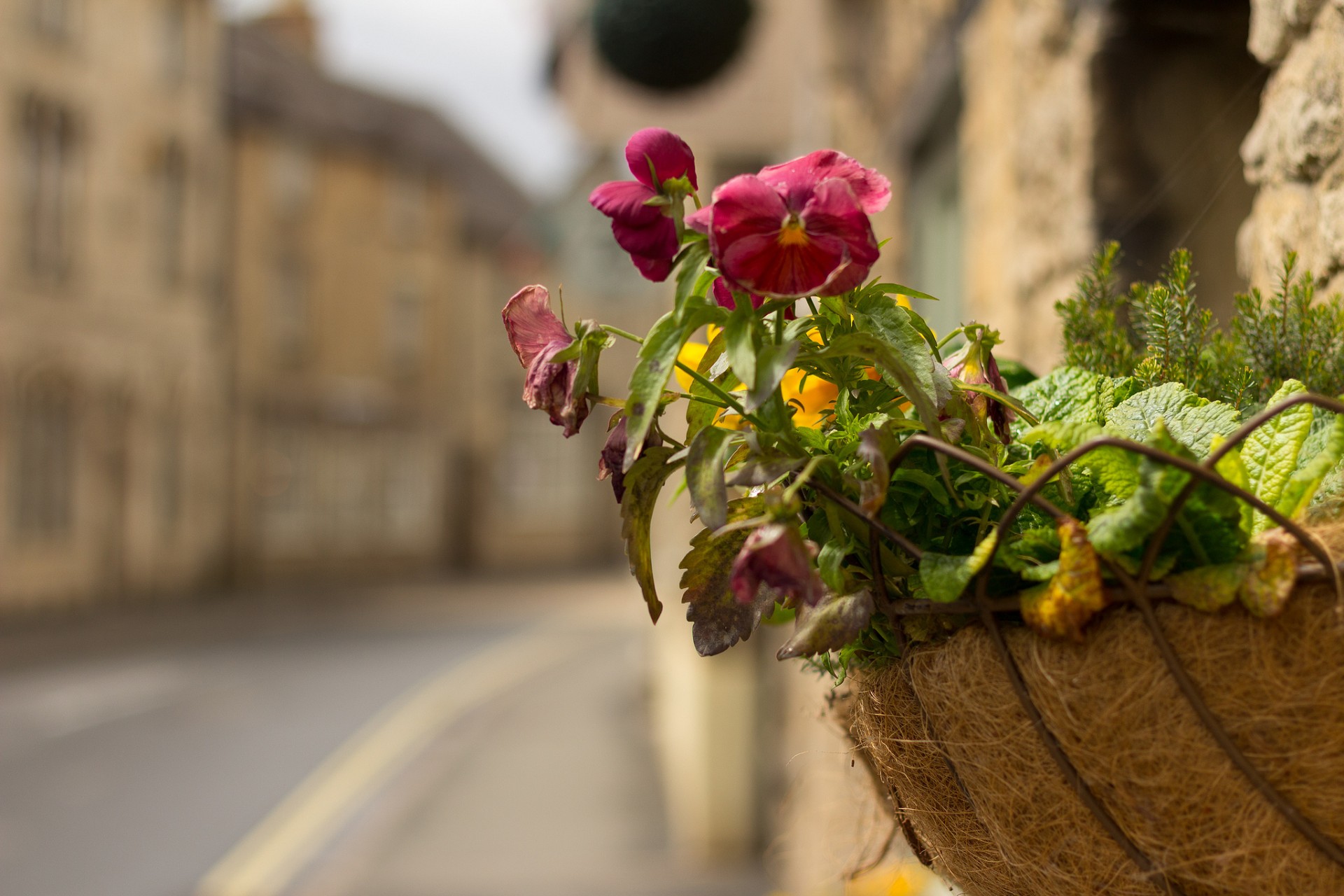 Jack in the Green: a Cotswolds TR - Fodor's Travel Talk Forums