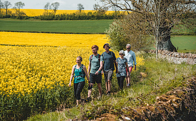 Walking through the Cotswold countryside - Iconic Cotswolds Hike.