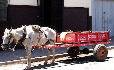 Horse & cart in Granada, Nicaragua. Flickr:James Bulley