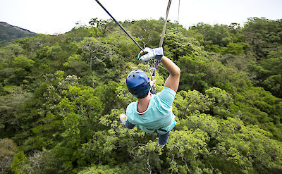 Zip lining above the canopy!