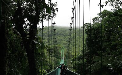 Hiking across the hanging bridges of costa rica. unsplash:angelaerick