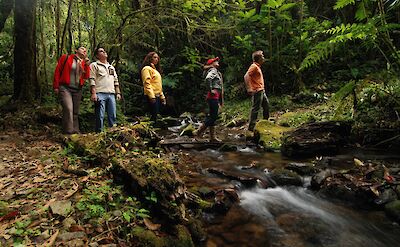 Nature walks in the Monteverde Cloud Forest Reserve