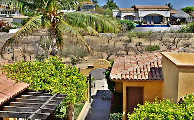 Casa Juan Miguel Lifestyle Villas Luxury Rentals In Cabo Del Sol L
