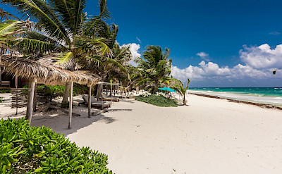 aldea estate tulum