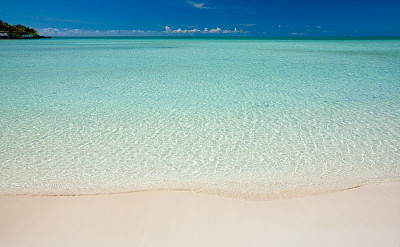 Crystal Clear Waters Of Taylor Bay