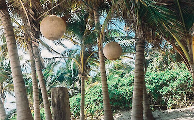 Tulum Sustainable Luxury Villa For Rent Beach View