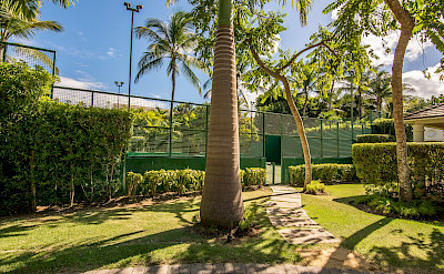 Tennis View