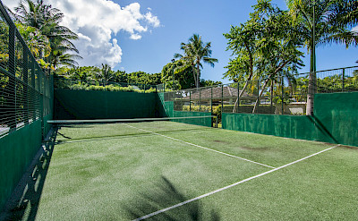 Tennis View