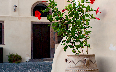 Sh Villas