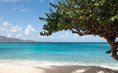 Necker Island Beach 2