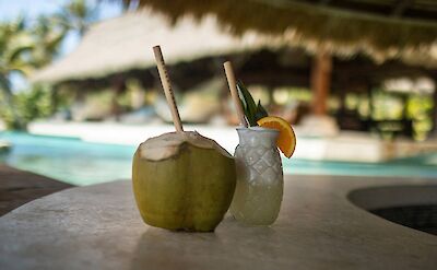 Necker Island Fresh Coconut Water 2