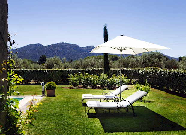 Garden And Pool