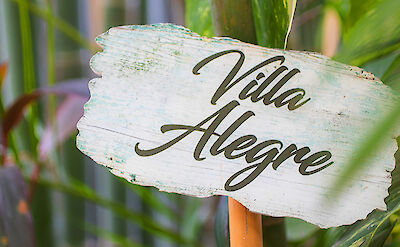 Allegra S Sign 1