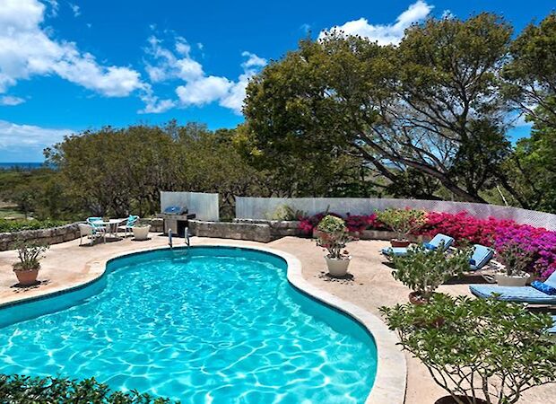 HALLE+ROSE+APR +POOL